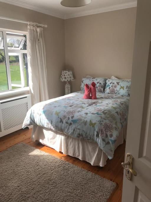 Killarney Farm House. المظهر الخارجي الصورة