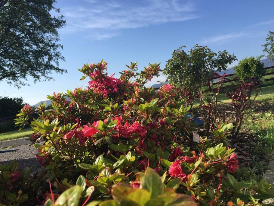 Killarney Farm House. المظهر الخارجي الصورة
